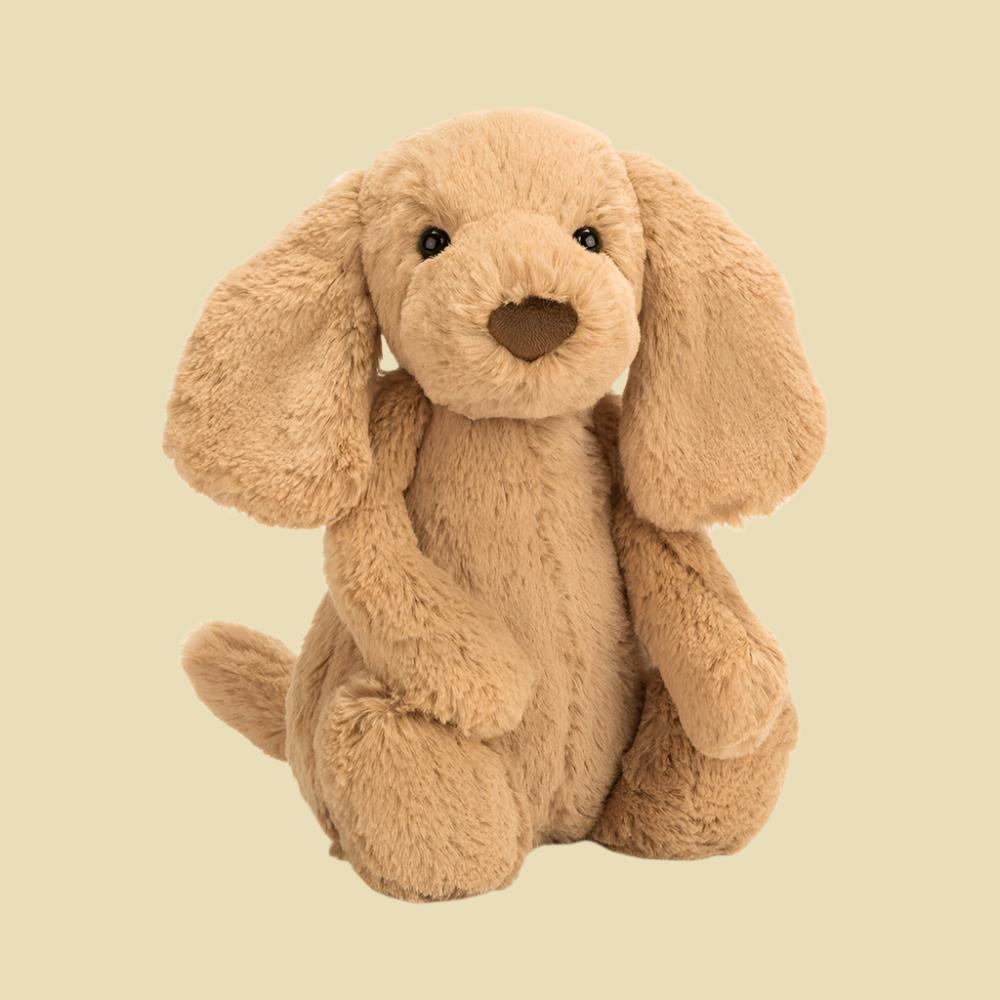 jellycat Bashful Toffee Puppy  1